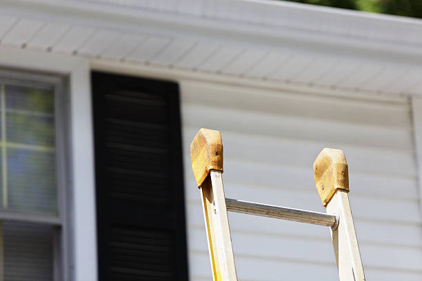 Best Custom Siding Design  in Toast, NC